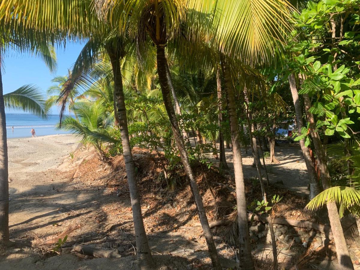 Beach Front Bahia Sámara المظهر الخارجي الصورة